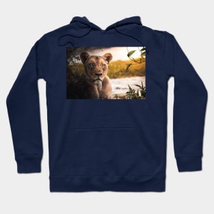 Wounded Lion Hoodie